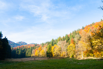 Autumn mountain landscape