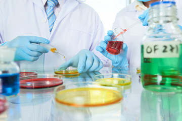Fototapeta premium Talented Researchers Concentrated on Work