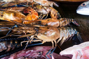 Fresh lobster on seafood market. Detail view