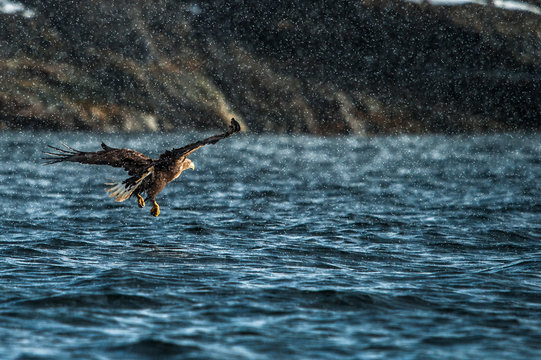 Rainy approach