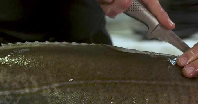 d&eacute;coupe dde poisson cabillaud 