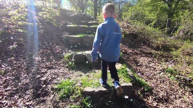 boy climbing a stone stairs in the woods