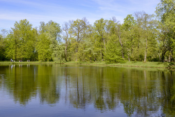 Fototapeta na wymiar Lake in Warsaw Wilanów