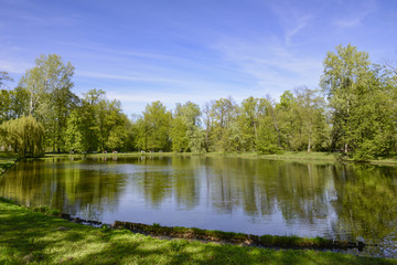 Fototapeta na wymiar Lake in Warsaw Wilanów