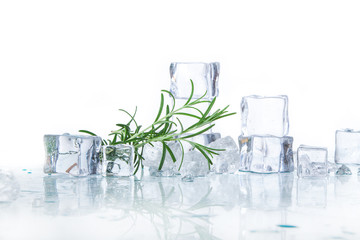 ice cubes with rosemary isolated on a white background