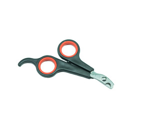 Pet supplies about nails scissors on isolated white background.
