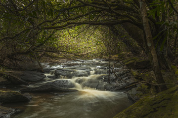 Cascata