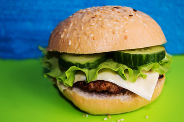 Hamburger on a green tray