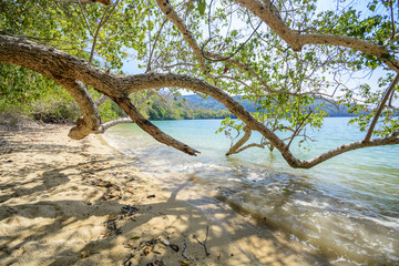 Beautiful sea in the sunny day of summer season. Seascape of blue sea with island far away at horizon, green tree branch foreground, partly white cloudy in bright blue sky