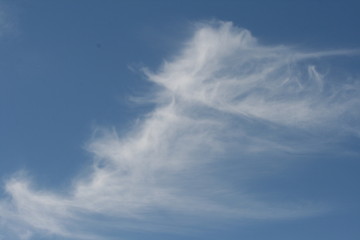 Blauer Himmel / Cirrus Cumulus