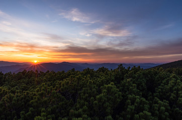 Evening in the mountains. Juniper in the foreground.