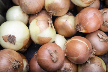Fresh Organic Onions at a Local Farmer's Market