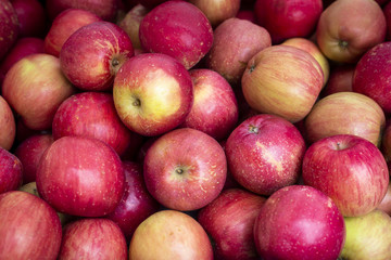 Organic Apples at a Local Farmer's Market