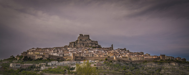 Morella