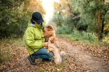 Fototapeta premium Girl walking with Pomeranian dogs in summer autumn forest park.