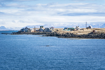 Obraz premium Häuser auf der Insel Flatey, Island