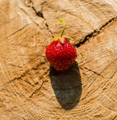 JUICE BERRIES OF STRAWBERRY ON A WOODEN SURFACE. SPRING SUNNY DAY .