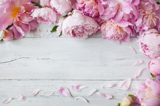 Pink peonies on a wooden background for congratulations, invitations