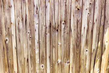 Fototapeta premium grain tree. Retro unpainted wood. The board is nailed together.