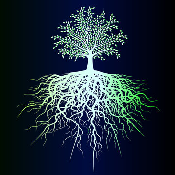 Naklejki Szczegółowym szkicem drzewa życia jest zielony neon. Gęste korzenie - kreatywny szkic tatuażu