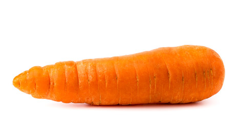 Ripe carrots on a white background.