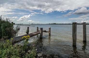 Amer Biesbosch