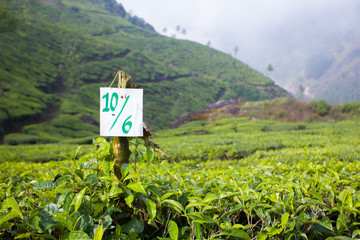 Tea field sign