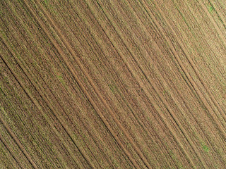 Castel Sant Elia. Aerial view of the countryside in the province of Viterbo in Italy