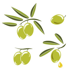 Icon of olives, Branch with green olives and leaves to decorate the labels of olive oil or cream isolated on white background.