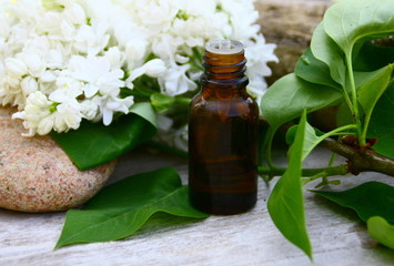 huile essentielle de lilas blanc