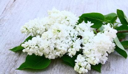 Fototapeta na wymiar bouquet de lilas blanc sur fond bois