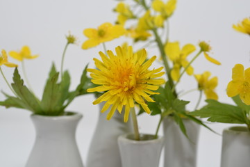 gelbe Wiesenblumen in styler Vasen Kombination
