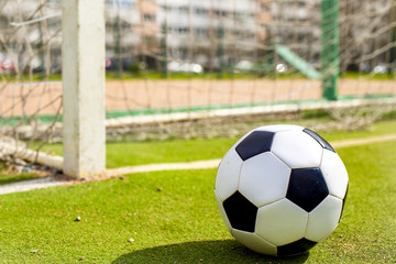 play ball on the field