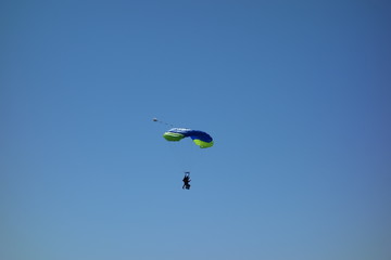 Tandem parachuting. Pair of parachutists in descent to landing