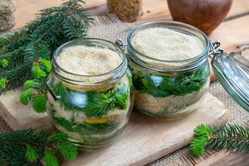 Jars filled with young spruce tips and cane sugar, to prepare homemade syrup