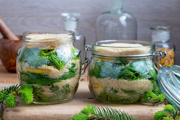 Jars filled with young spruce tips and cane sugar, to prepare homemade syrup
