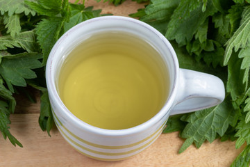 A cup of nettle tea with fresh plant