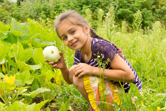 Happy smiling little girl  harvesting fresh squashes in a garden, sitting on a green grass and holding small fresh squash in her hand