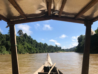 View of part of a green rain forest from the Kuala Tahan river located in  Pahang National Park, Malaysia.