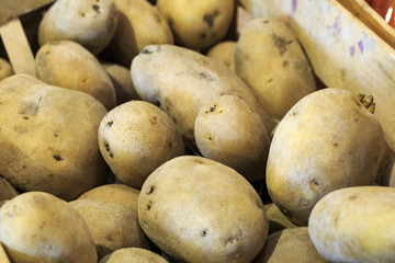 Fruits and vegetables for sale from eytaly in Rome 