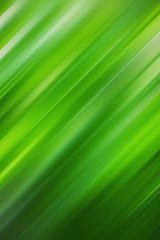 abstract green blurred background