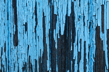Texture Of Old Wooden Planks With Peeling Blue Paint. Old House Facade.