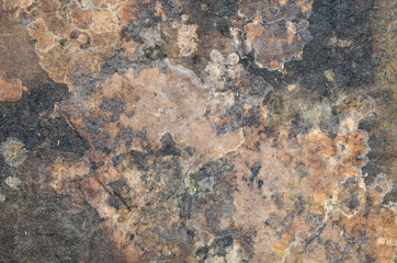 Texture Of Corrupted Paper Or Cardboard. Mold, Drops Of Water And Stains On The Panel. Vintage Grungy. Background. Close-Up.