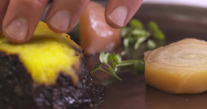 pr&eacute;paration d'un plat gastronomique