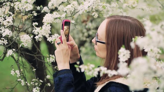 Beautiful girl takes photos of blossom spring tree flowers on a smart phone.