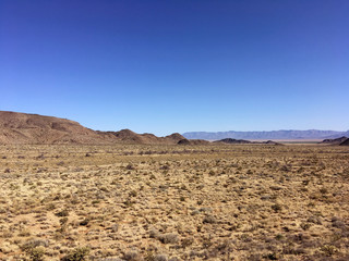 Mountains and cacti in the Arizona desert under the blue sky