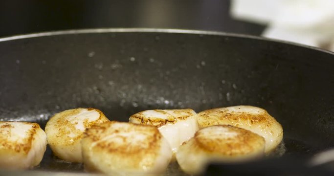 Noix de Saint Jacques poêlées dans un resturant gastronomique