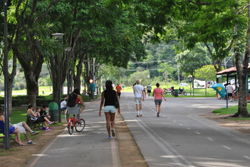 curitiba - pr