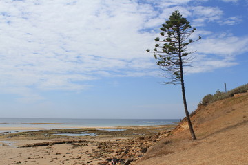 Strandspaziergang Down Under