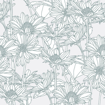 Daisy floral seamless pattern